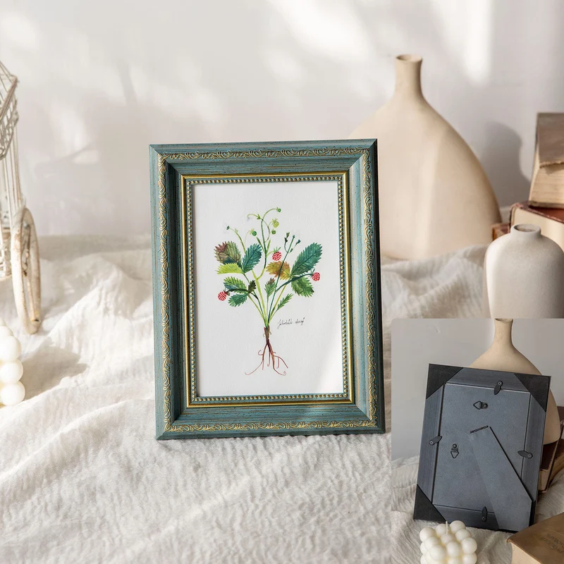 Dekorative Botanische Illustrationsrahmen