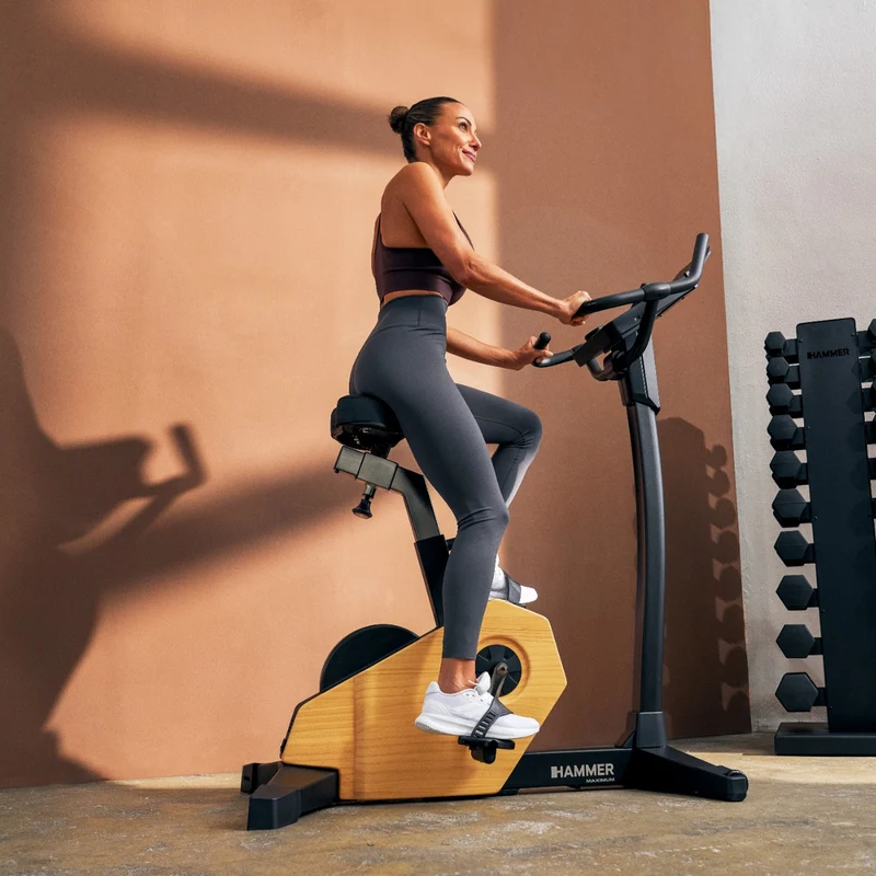 HAMMER MAXIMUM Spheris 4.0 Ergometer