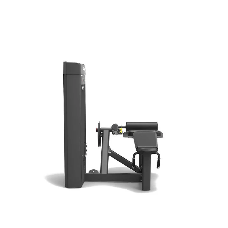 Spirit Fitness Commercial SP-4318 Beinbeuger liegend