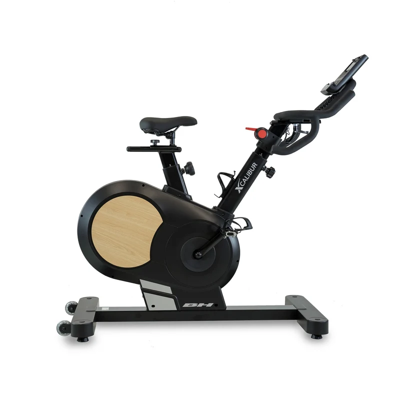 BH Fitness Xcalibur Magnetic Indoor Bike
