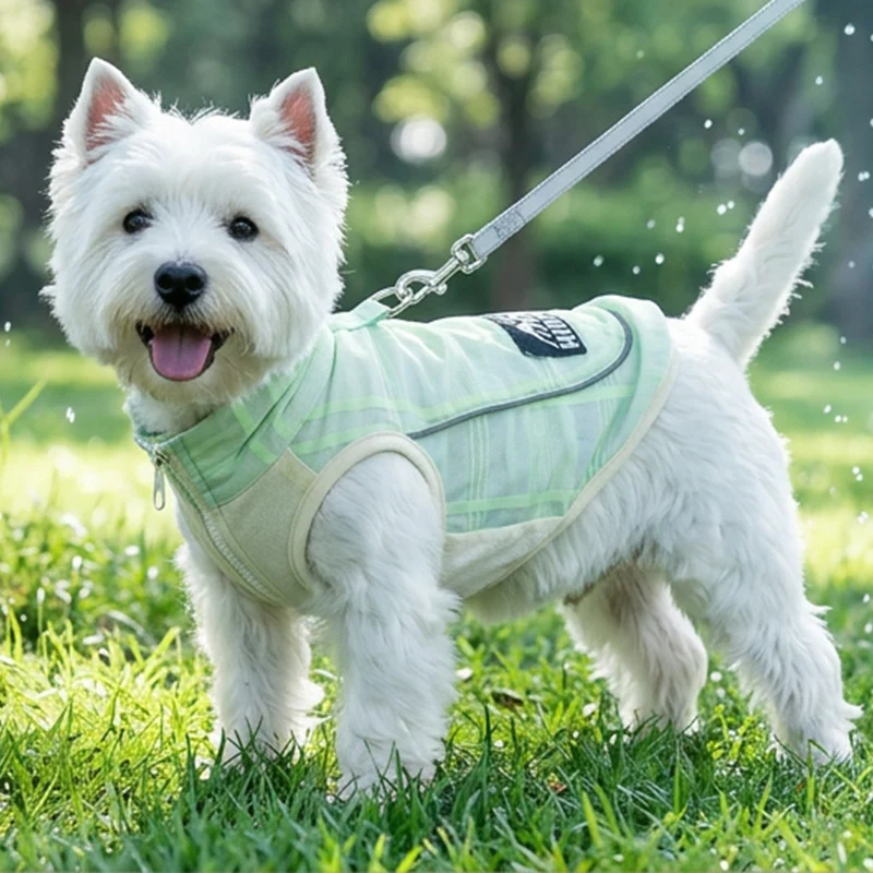 Hundeträgershirt mit Reflektoren für Sommer