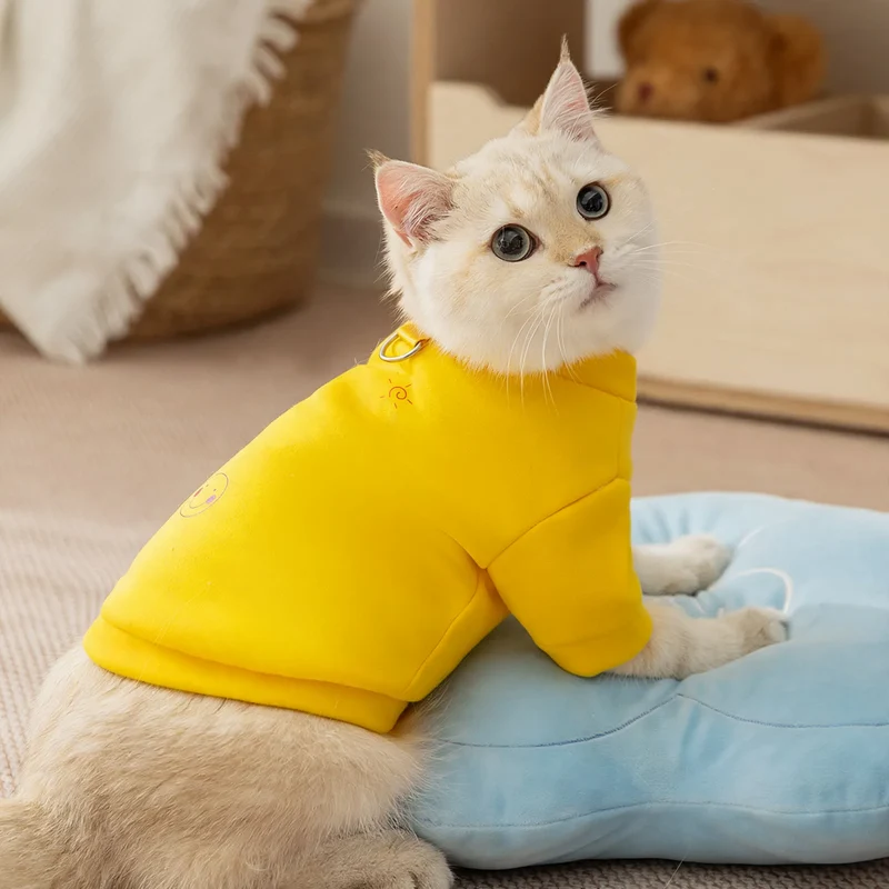 Sweatshirt für kleine Hunde und Katzen