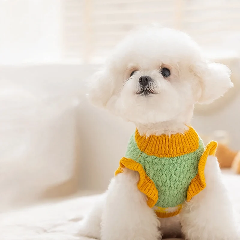 Strickpullover für Hunde und Katzen, Ananas-Muster