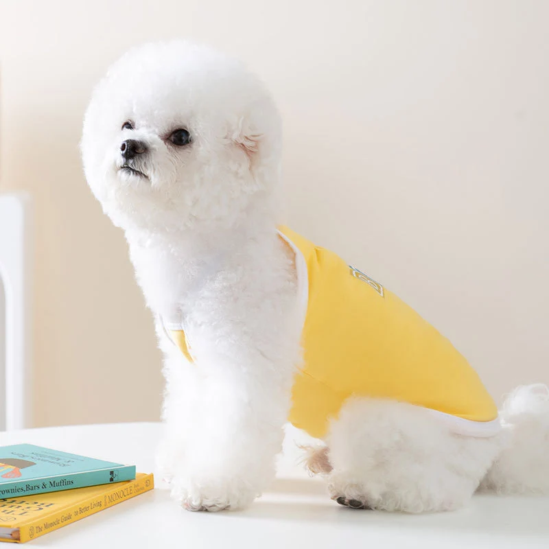 Hundeträgerkleid mit Schleife