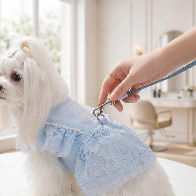 Prinzessin-Kleid für kleine Hunde, Sommer