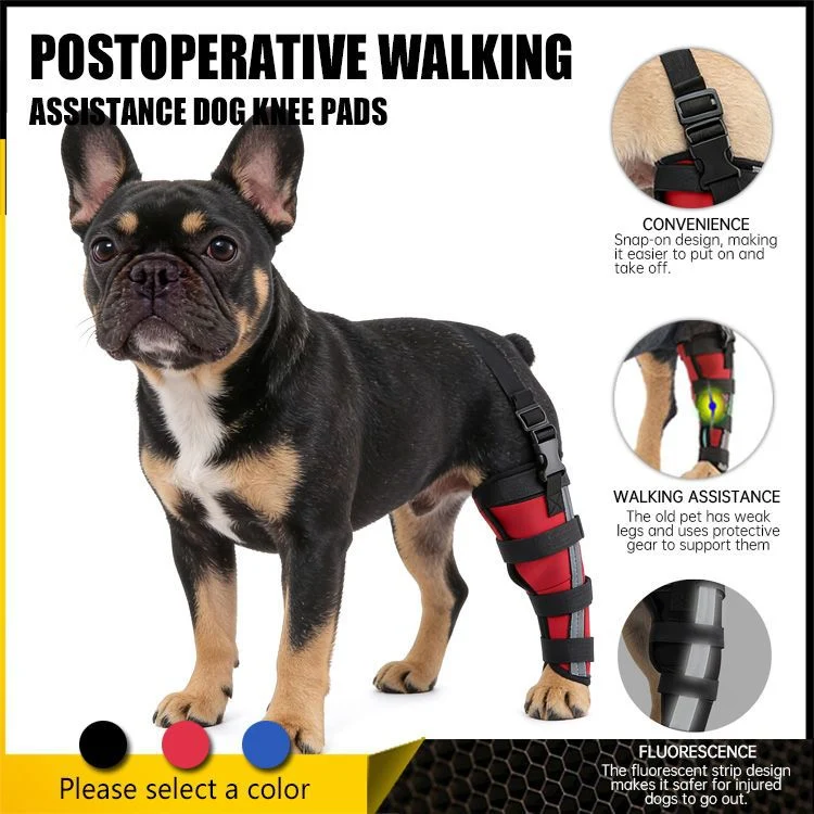 Hinterbein-Stützmanschette für Hunde, ganzjährig