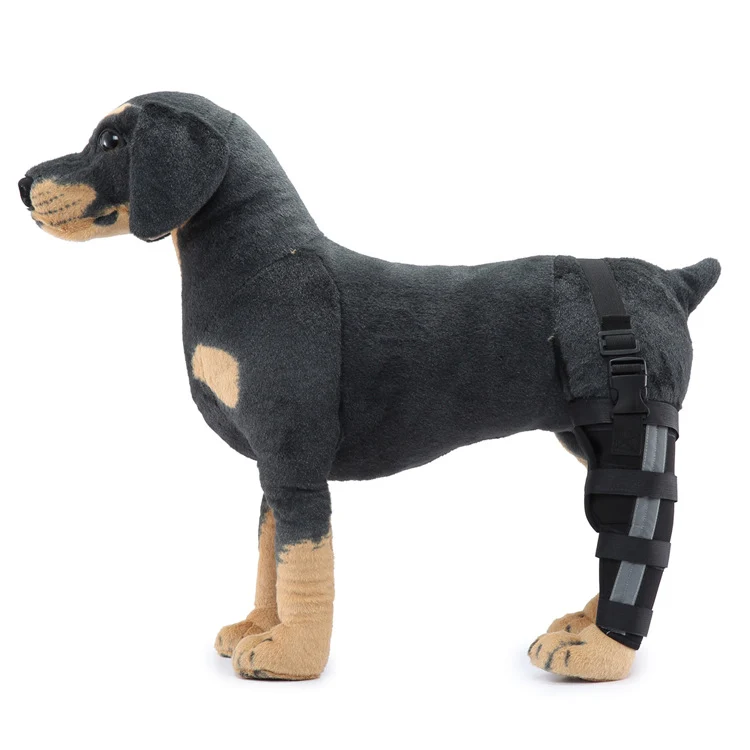 Hinterbein-Stützmanschette für Hunde, ganzjährig