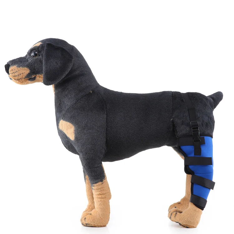 Hinterbein-Stützmanschette für Hunde, ganzjährig