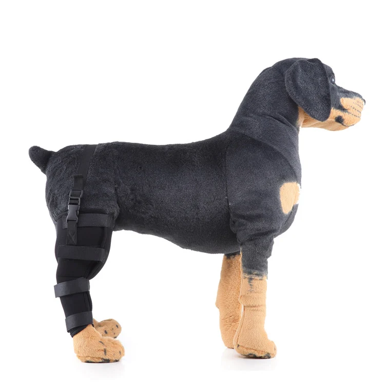Hinterbein-Stützmanschette für Hunde, ganzjährig