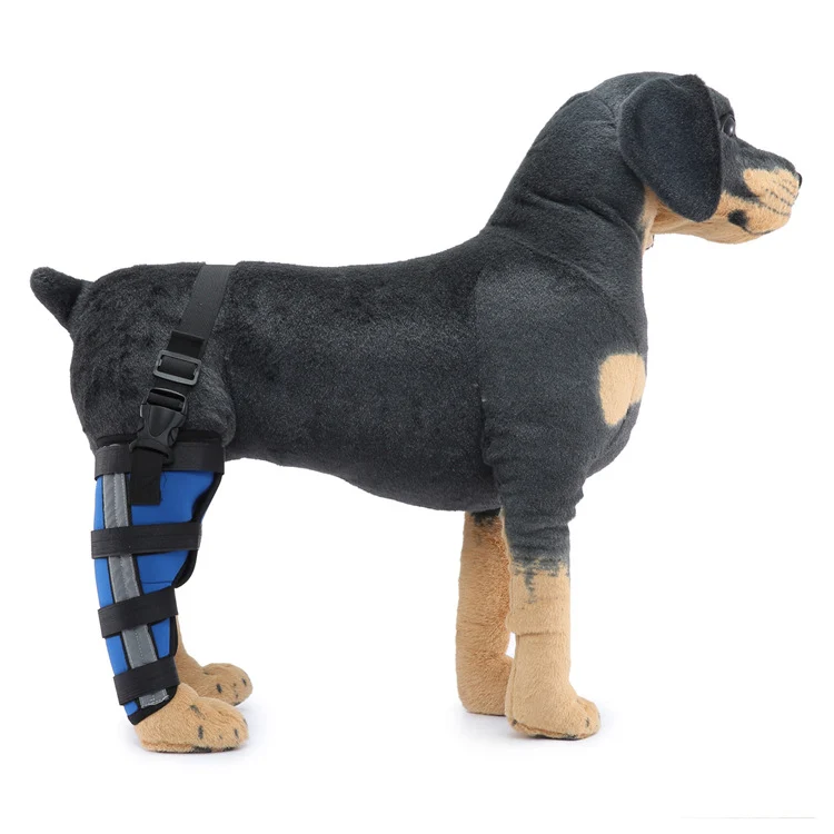 Hinterbein-Stützmanschette für Hunde, ganzjährig