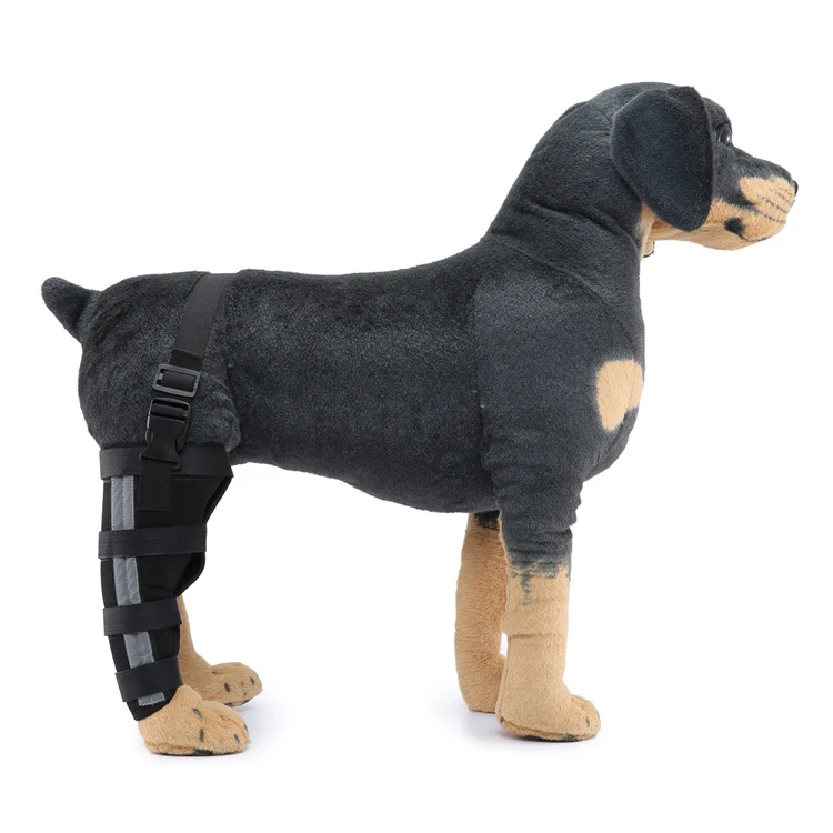 Hinterbein-Stützmanschette für Hunde, ganzjährig