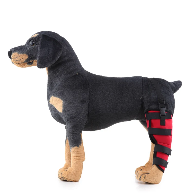 Hinterbein-Stützmanschette für Hunde, ganzjährig