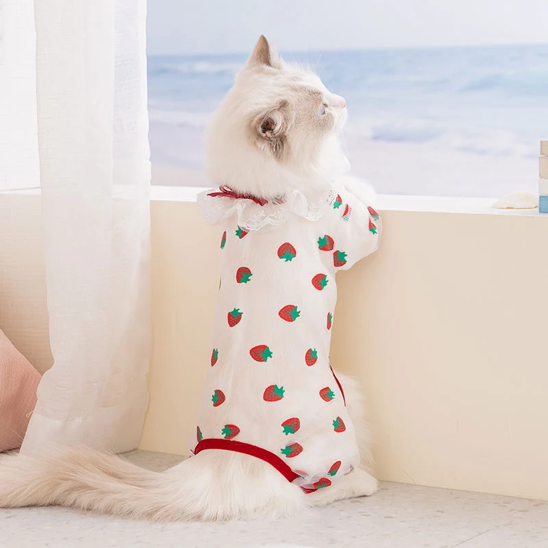 Katzenkleidung, Netzstoff, Vier Beine, Sommer