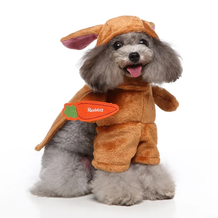 Hundekleidung mit Kostüm-Design, Polyester