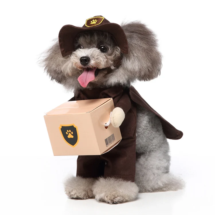 Hundekleidung mit Kostüm-Design, Polyester