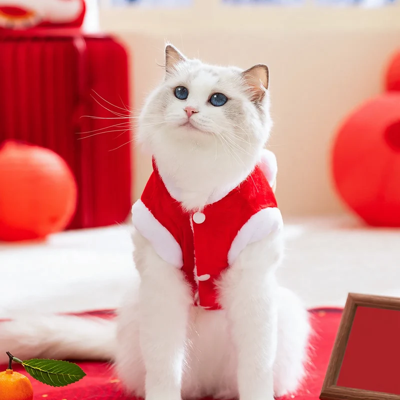Wärmeweste für Katzen und kleine Hunde