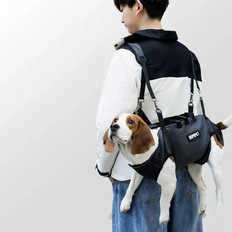 Rucksack für Hunde und Katzen, tragbar