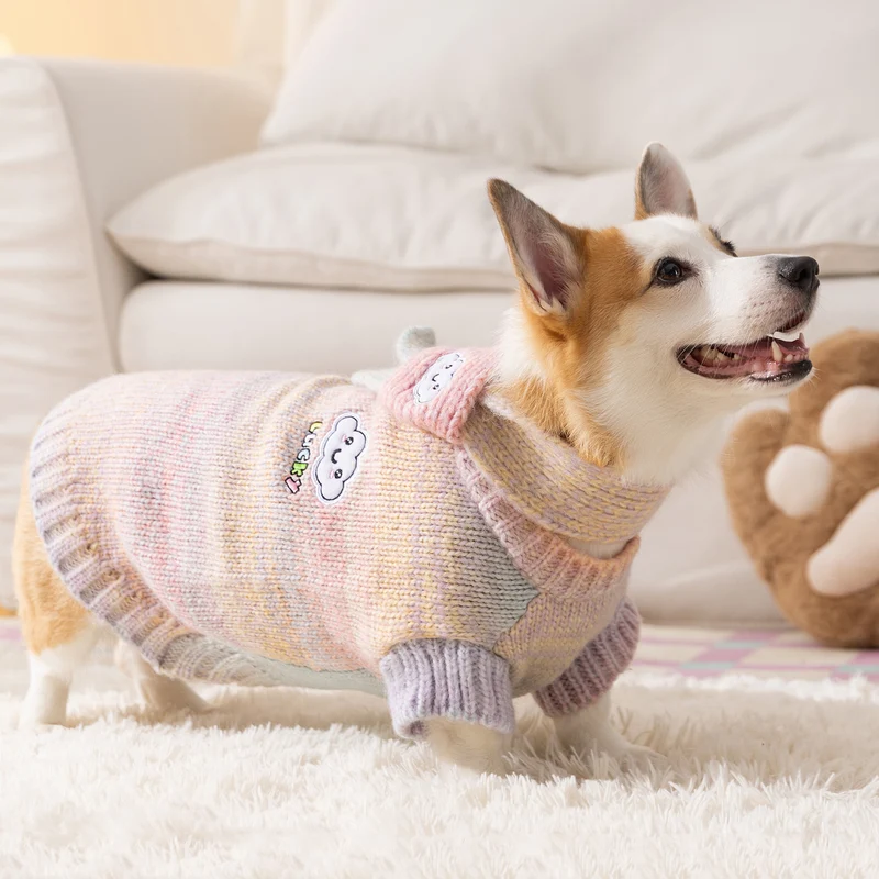 Regenbogen-Pullover für Hunde, vier Jahreszeiten