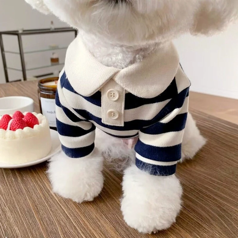 Strickpullover für Katzen und kleine Hunde