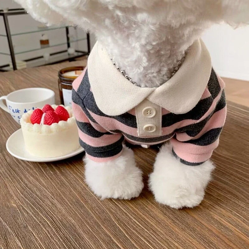 Strickpullover für Katzen und kleine Hunde