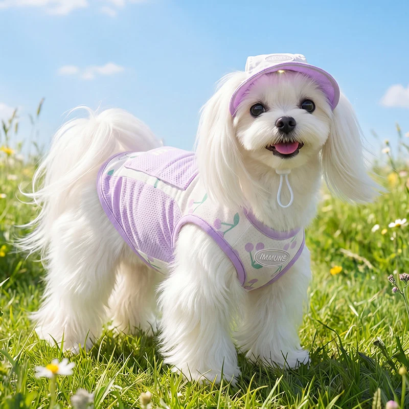 Sommer-Hundehemd, kühlend, mit Leine