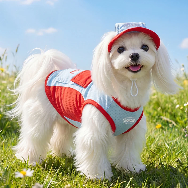 Sommer-Hundehemd, kühlend, mit Leine