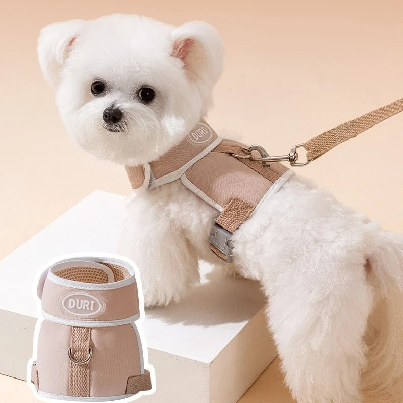 Bunte Leine für kleine Hunde und Katzen
