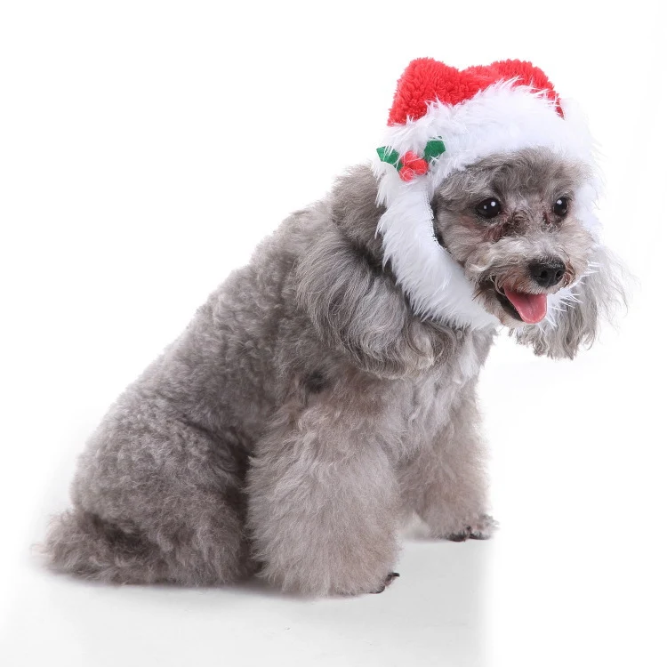 Haustier-Halstuch mit Weihnachtsmotiv