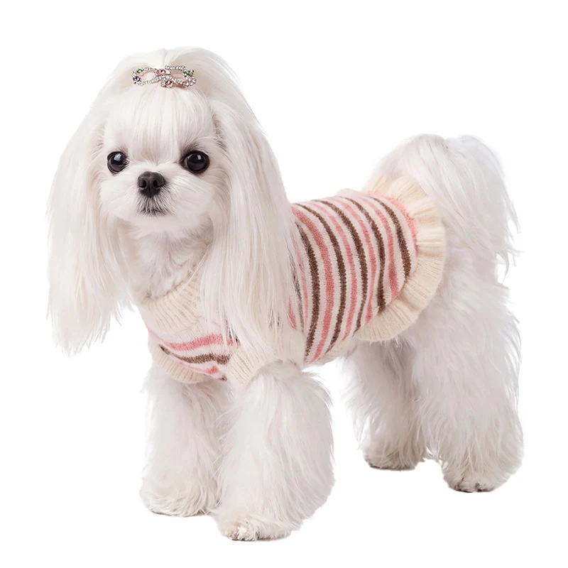 Gestreifter Strickpullover für kleine Hunde