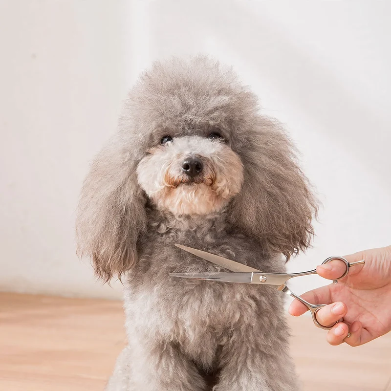 Edelstahl-Scherensatz für Hundefrisuren
