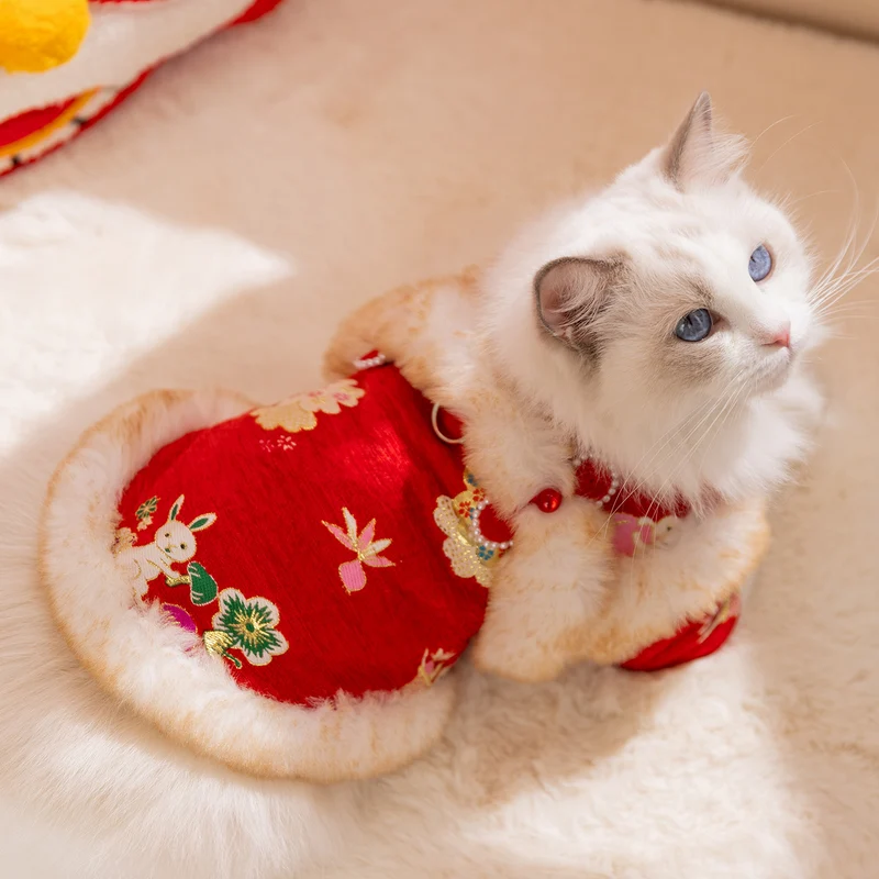 Chinesische Winterjacke für Katzen und Hunde
