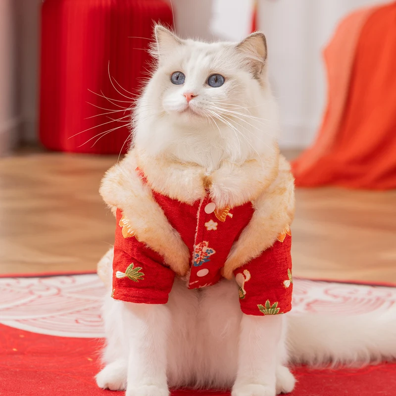 Chinesische Winterjacke für Katzen und Hunde