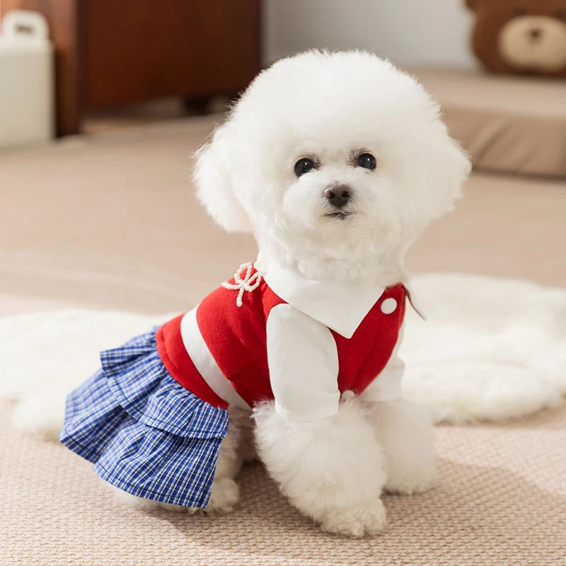 Kariertes Kleid für kleine Hunde – Herbst und Winter