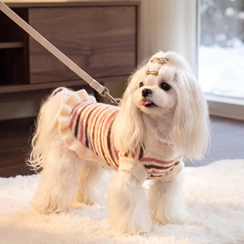 Gestreifter Pullover für kleine Hunde und Katzen