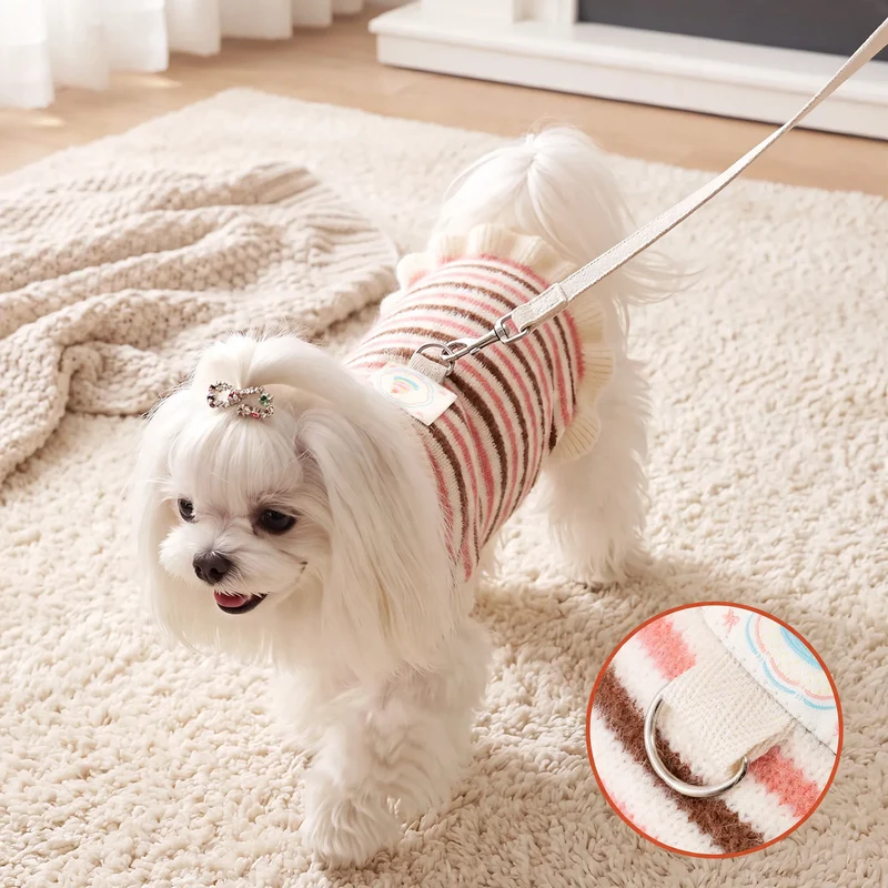 Gestreifter Pullover für kleine Hunde und Katzen