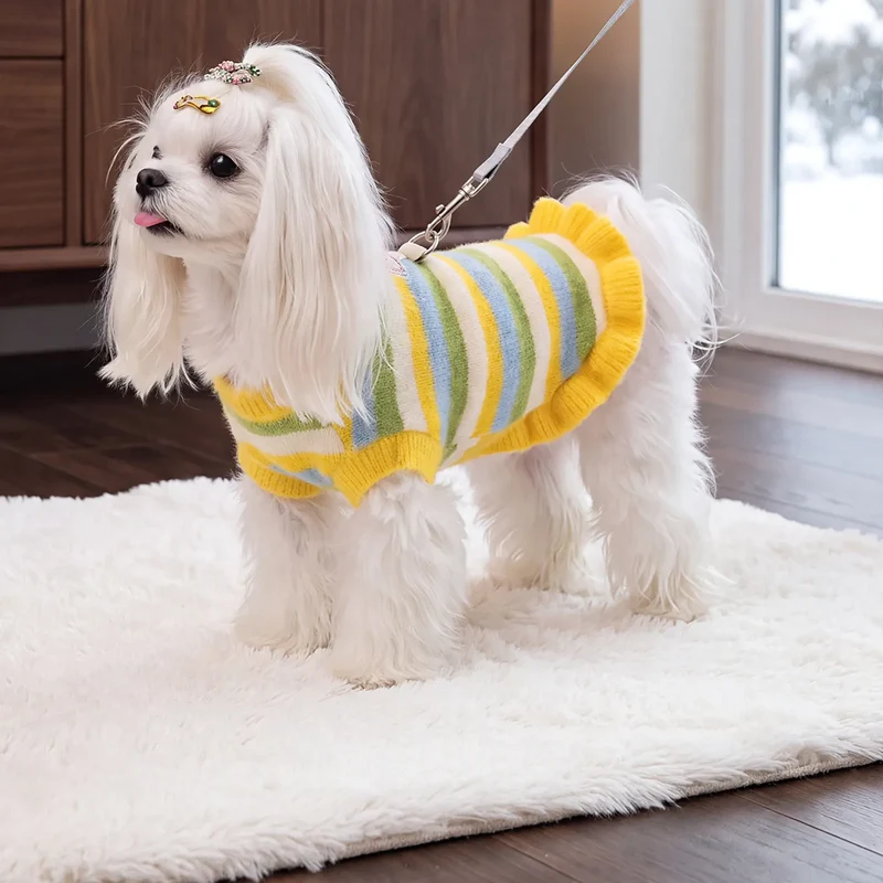 Gestreifter Pullover für kleine Hunde und Katzen