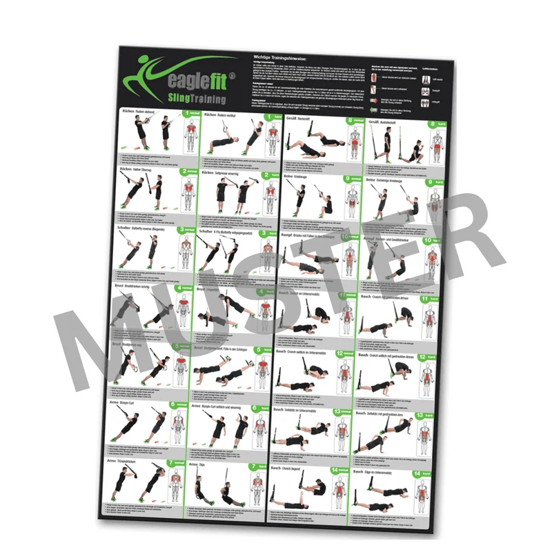 Sling-Trainer Übungsposter mit 28 Übungen