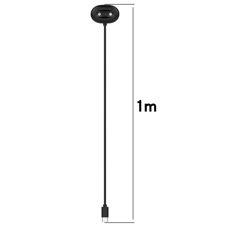 Google Pixel Watch 4 USB-C Ladegerät