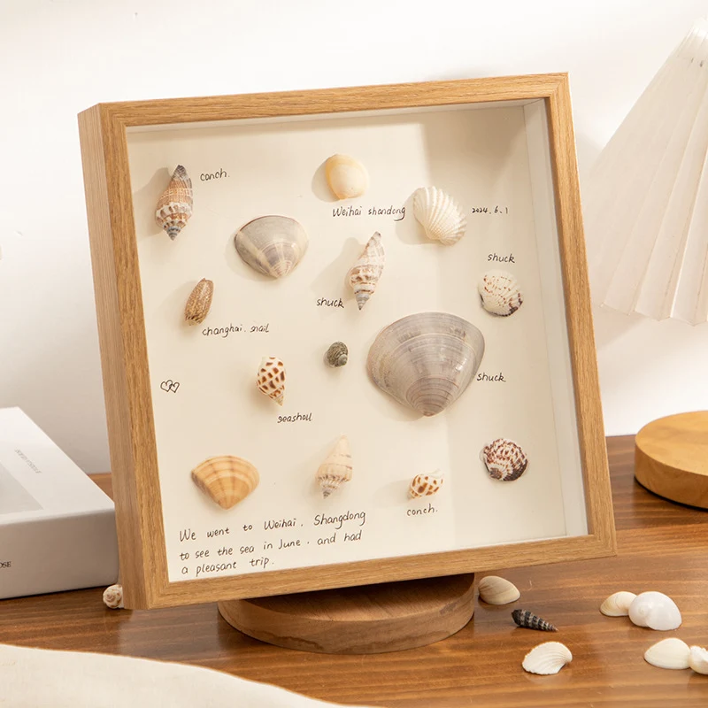 Dekorativer Muscheln Displayrahmen für Zuhause