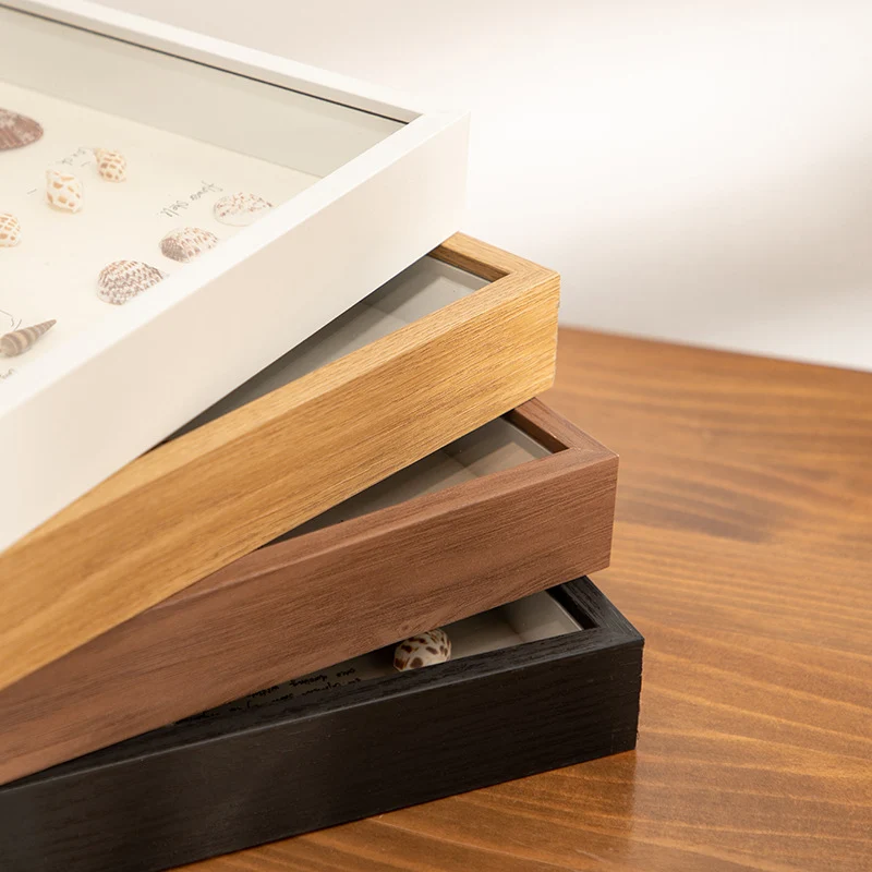 Dekorativer Muscheln Displayrahmen für Zuhause