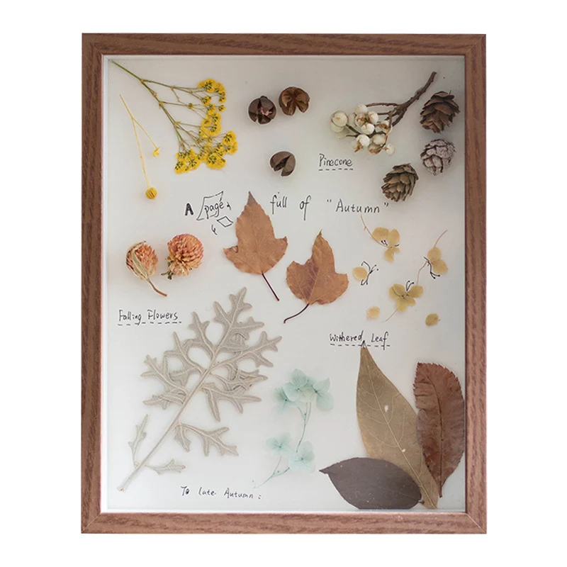 Dekorative Schmetterlings-Wandkunst für Zuhause