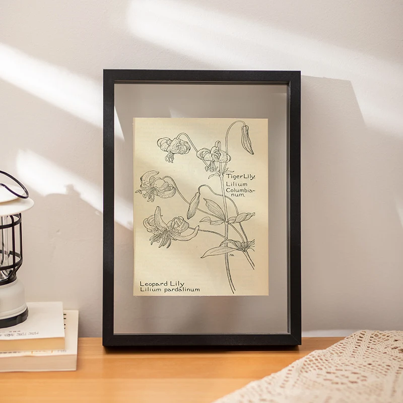 Botanische Illustrationswandkunstrahmen