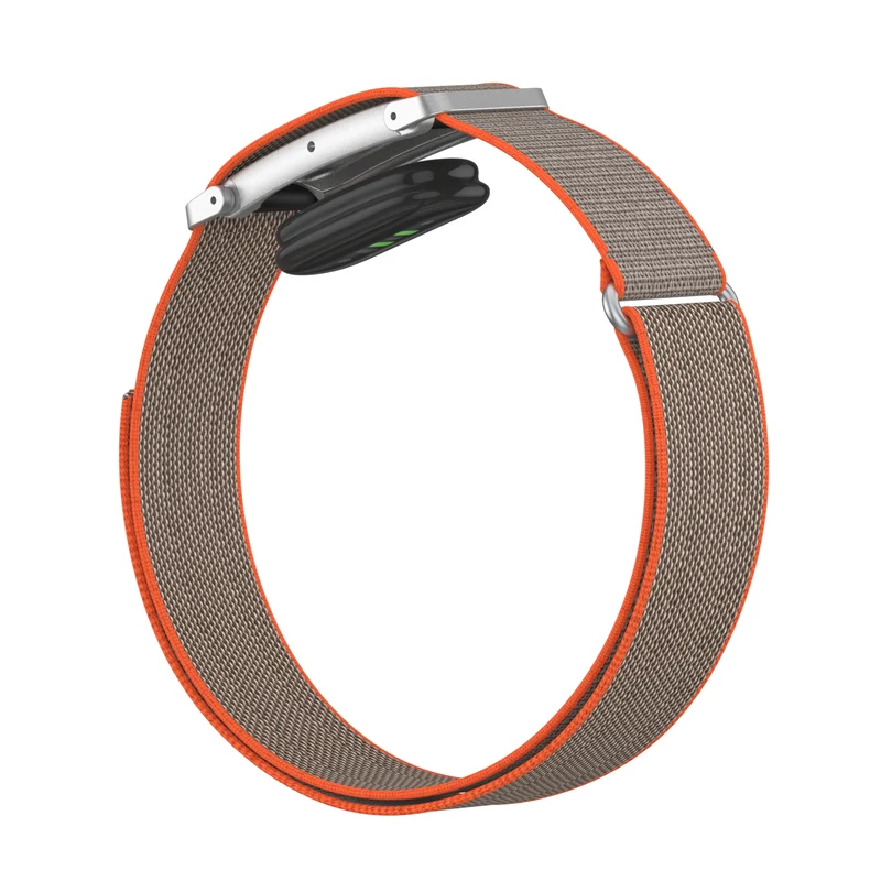 Fitbit Air Biceps Nylon Armband (Grau/Orange)