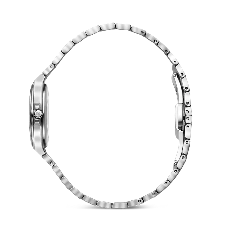 Danish Design DKx Pro IV97Q1303 Damen Armbanduhr Silber/Haselnuss • Saphirglas • 5 ATM Wasserdicht