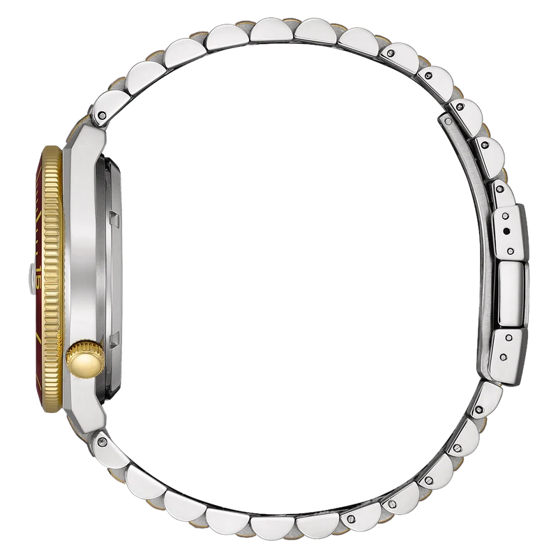 Citizen TSUYOSA Shore NJ0234-58X Herren • Automatikwerk Kaliber 8210 • Saphirglas