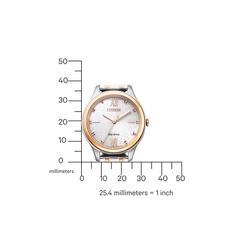 Citizen Eco Drive EM0506-77A Damenuhr Bicolor • Solarbetrieb • Römische Indizes