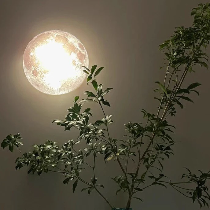 Dekorative Mond Nachtlicht