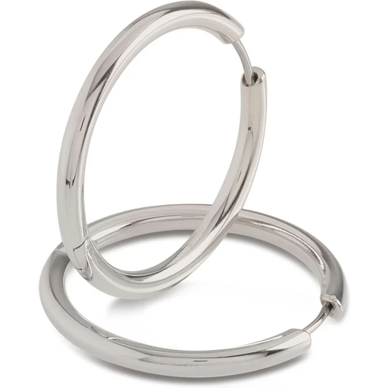 05073-01 Titanium oorringen 31 mm
