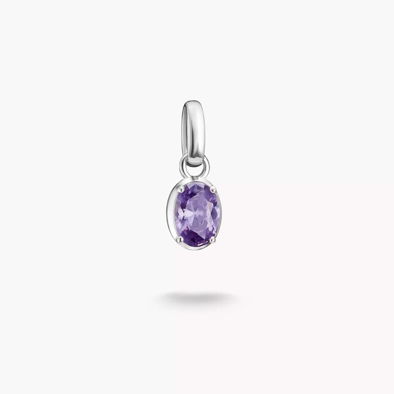 Charm-Anhänger Geburtsstein Februar Connect Silber