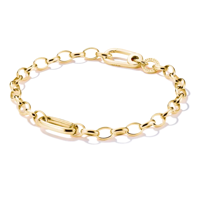 Glieder- Charm-Armband vergoldet- Thomas Sabo Modell: C1202-413-39-L17